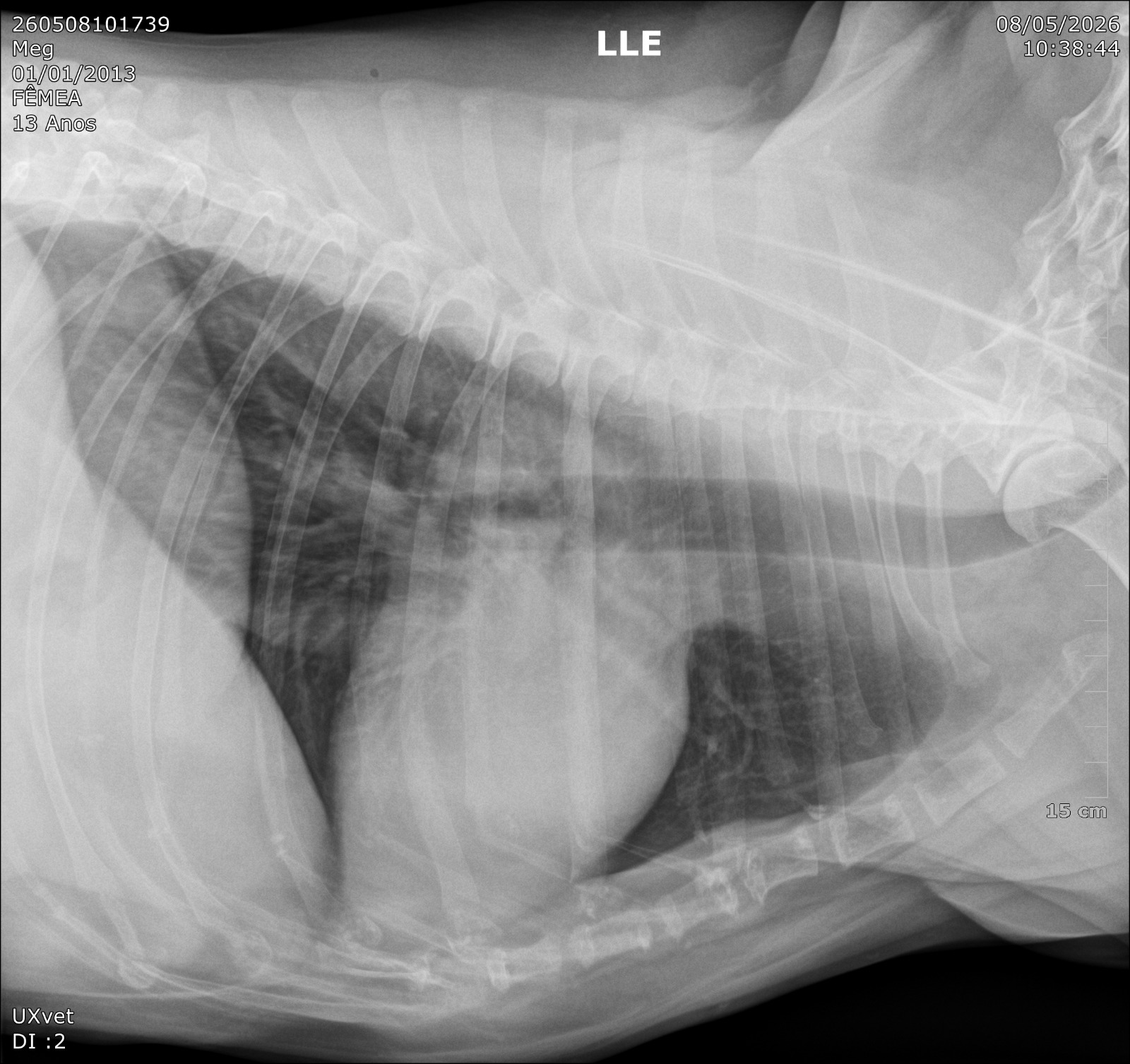Radiografia